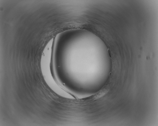 X0000055970624200509021548