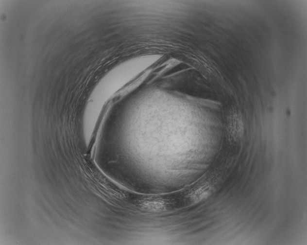 X0000055970653200509021548