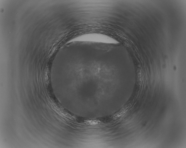 X0000055970654200509021548