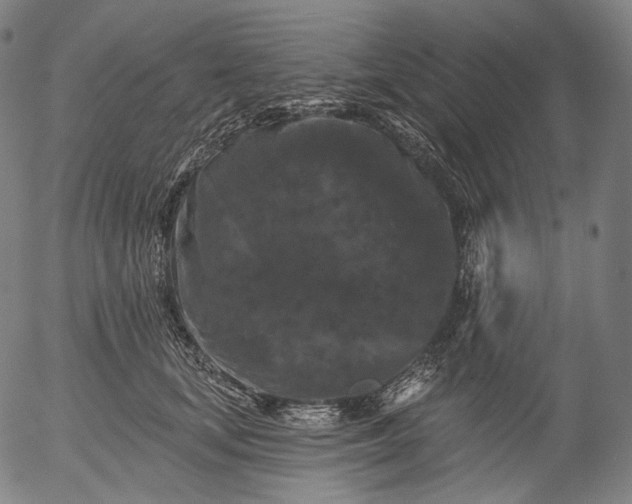 X0000055970659200509021548