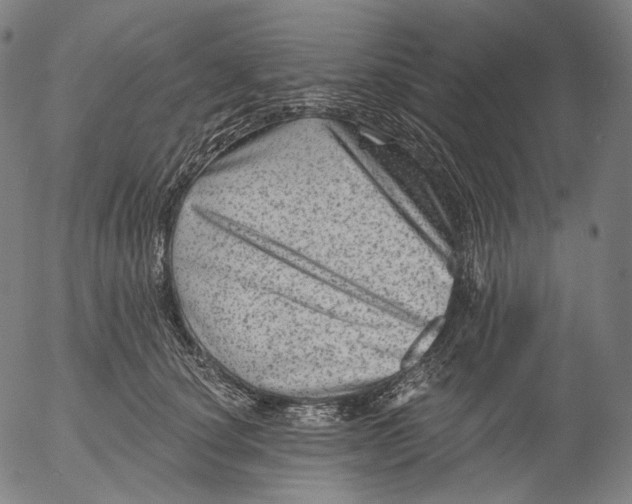 X0000055970660200509021548