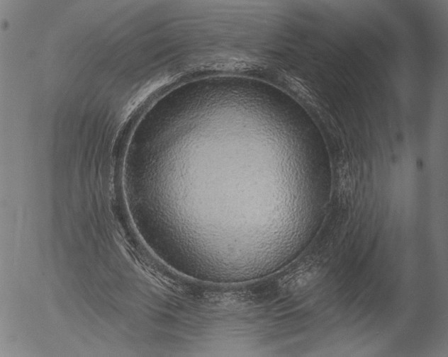 X0000055970679200509021547