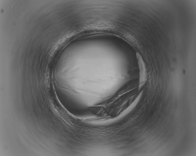 X0000055970680200509021547