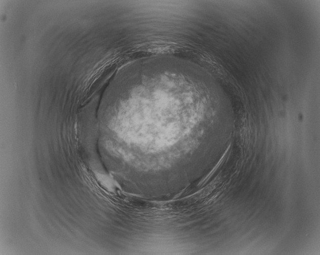 X0000055970696200509021547