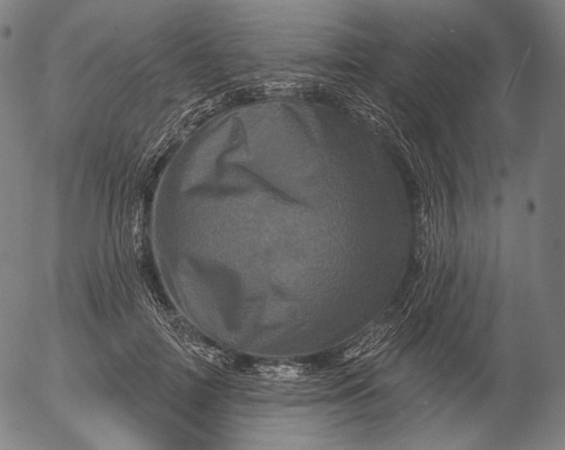 X0000055970698200509021547