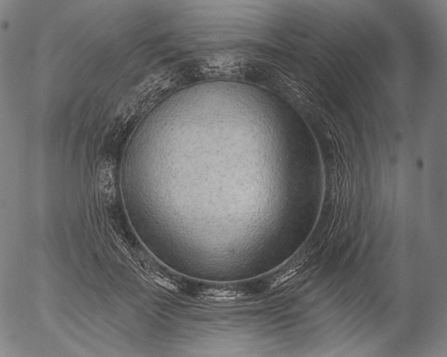 X0000055970699200509021547
