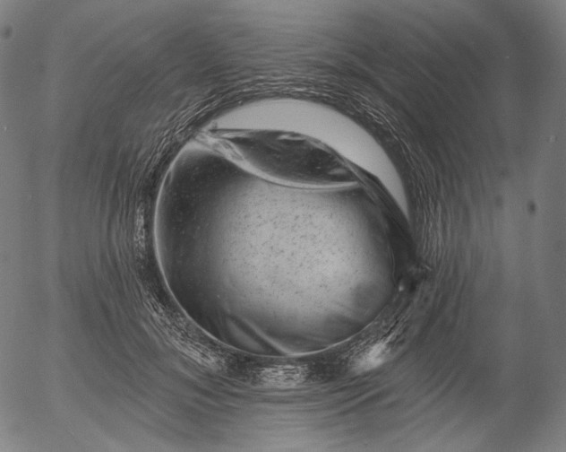 X0000055970700200509021547