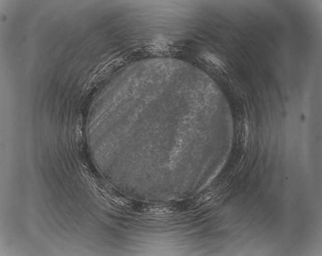 X0000055970702200509021547