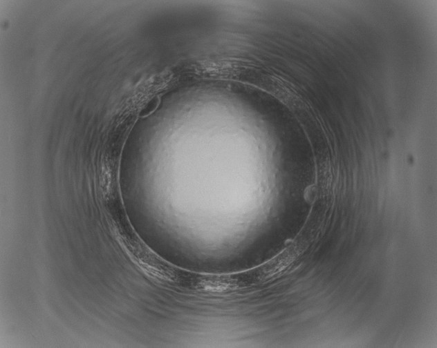 X0000055970703200509021547