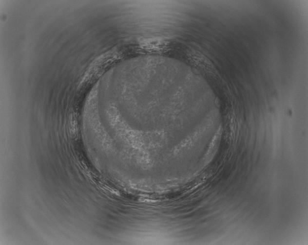X0000055970706200509021547