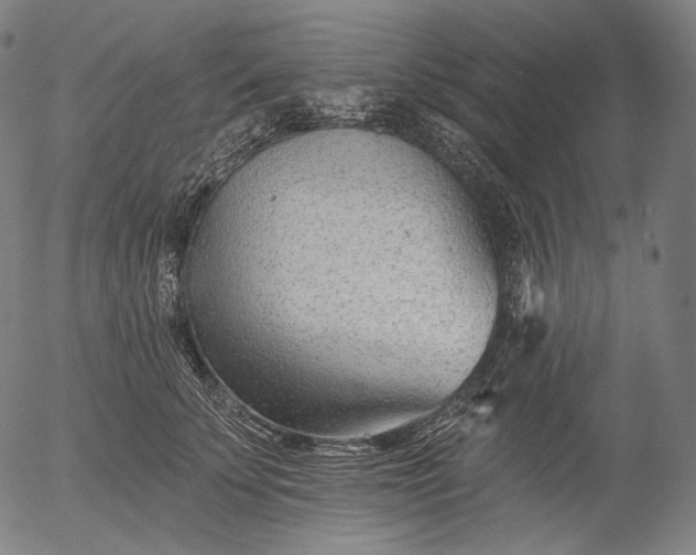 X0000055970707200509021547
