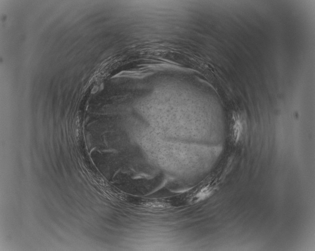 X0000055970708200509021547