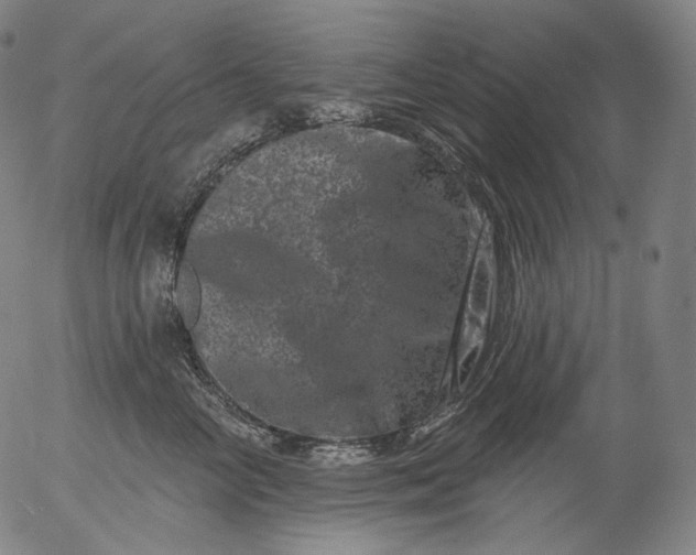 X0000055970714200509021547