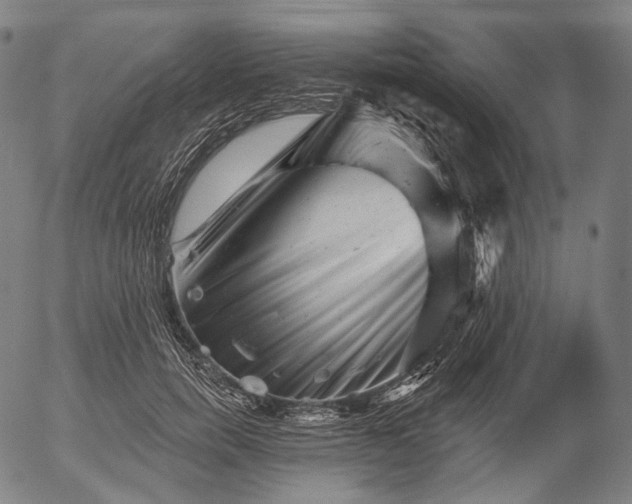 X0000055970750200509021546
