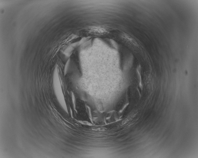 X0000055970752200509021546