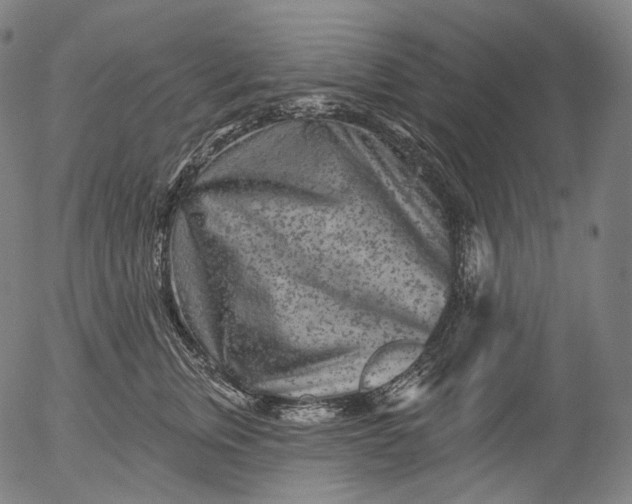 X0000055970759200509021546