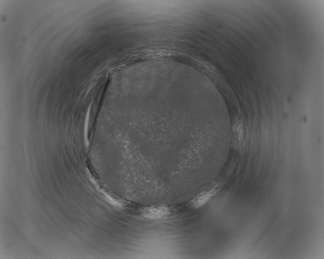X0000055970765200509021546