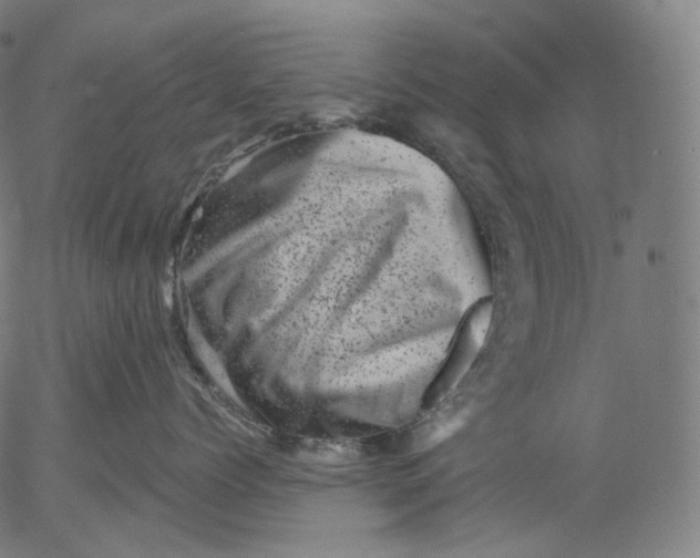 X0000055970768200509021547