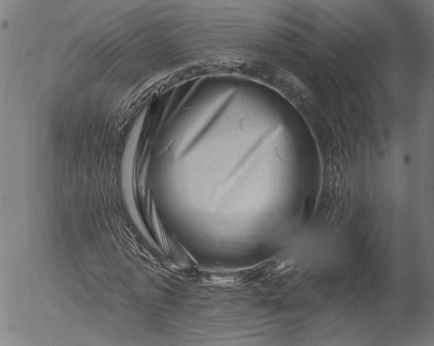 X0000055970773200509021546