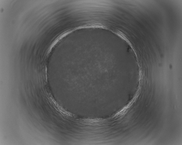 X0000055970781200509021545