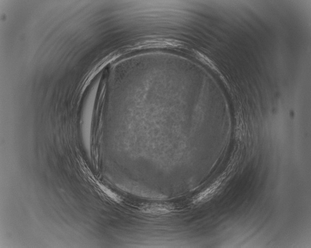 X0000055970786200509021545