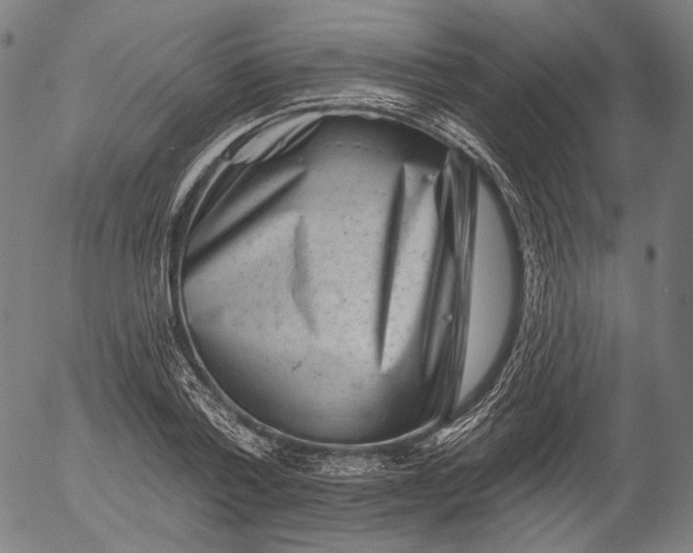 X0000055970788200509021545