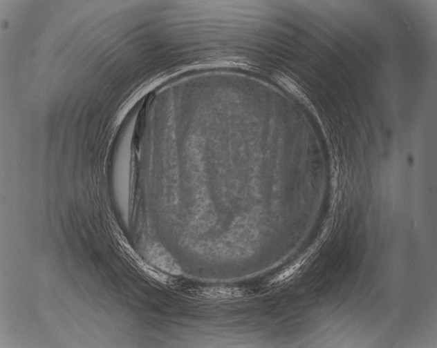 X0000055970789200509021545