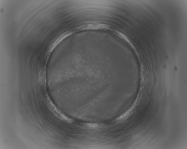 X0000055970794200509021545