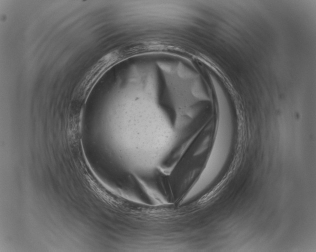 X0000055970801200509021545