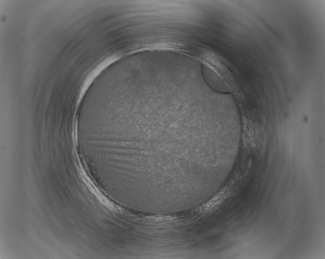 X0000055970804200509021545