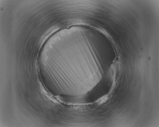 X0000055970806200509021545