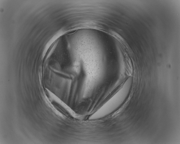 X0000055970812200509021545