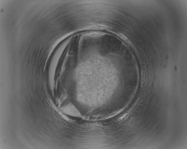 X0000055970838200509021544