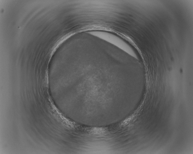 X0000055970839200509021544