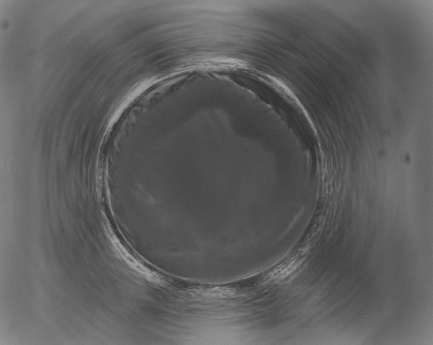 X0000055970851200509021545