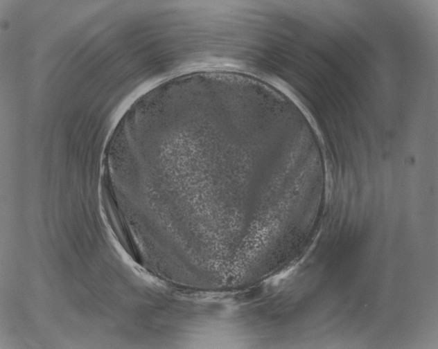 X0000055970861200509021545