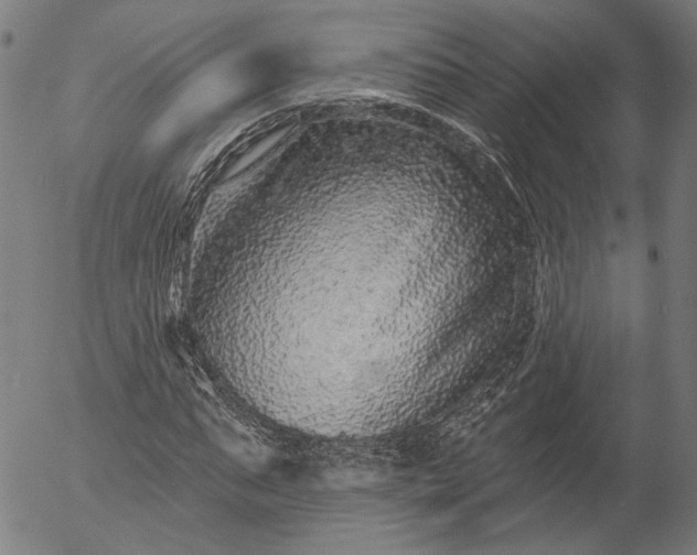 X0000055970871200509021544