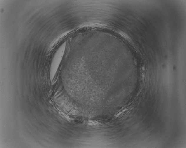 X0000055970872200509021544