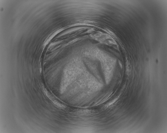 X0000055970885200509021544