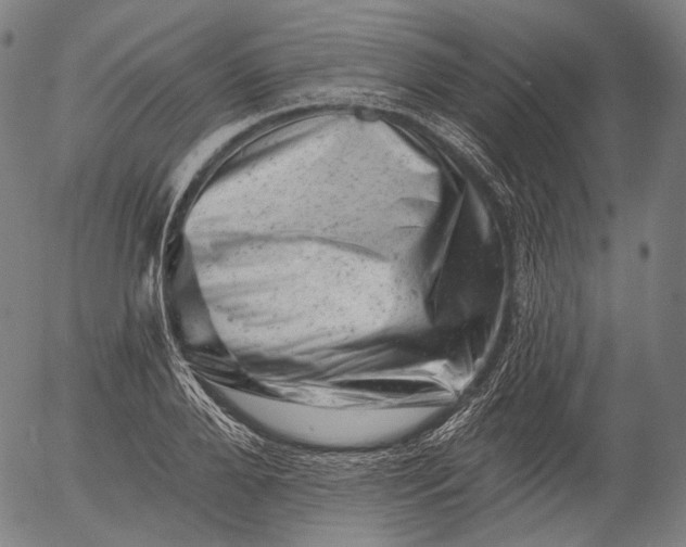 X0000055970888200509021544