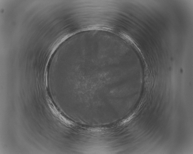 X0000055970892200509021544
