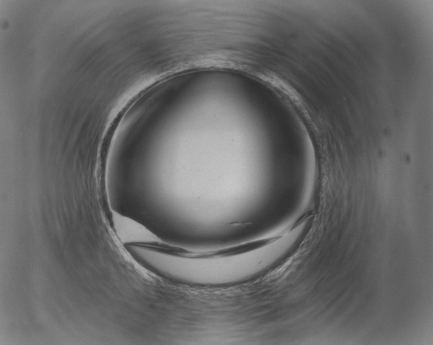 X0000055970902200509021543