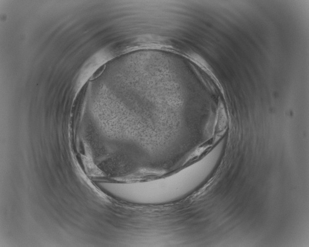 X0000055970906200509021543