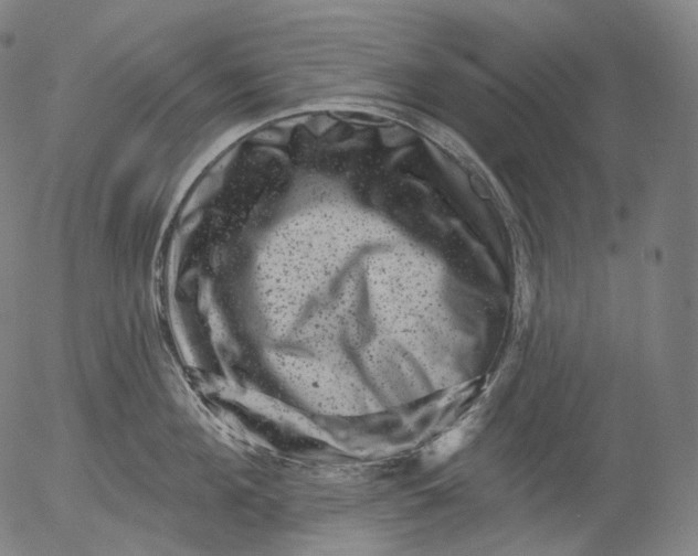 X0000055970908200509021543