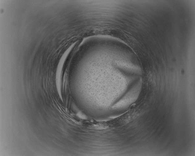 X0000055970914200509021542