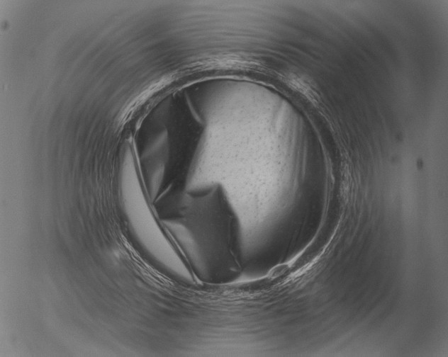 X0000055970922200509021543