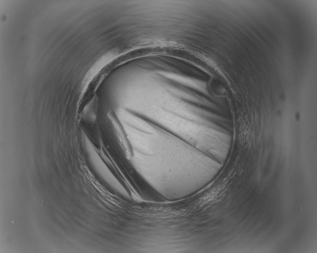 X0000055970927200509021543