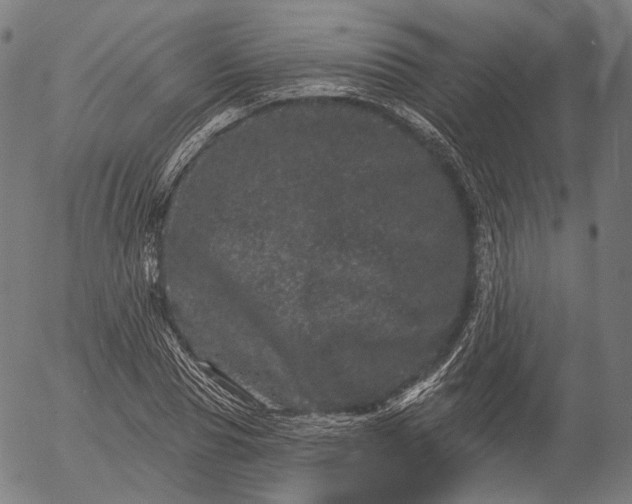 X0000055970929200509021543