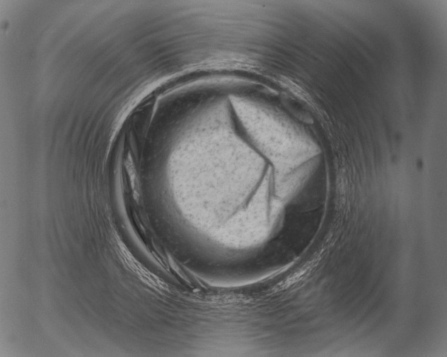 X0000055970934200509021543