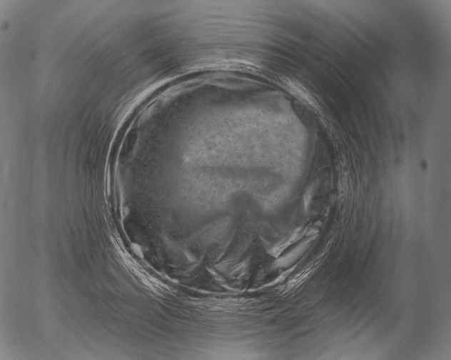 X0000055970940200509021543